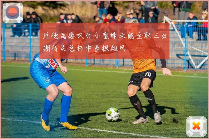 厄德高感叹对小蜜蜂未能全取三分期待足总杯中重振雄风